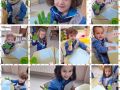 PhotoCollage 16478673444609 PhotoCollage 16478673444609